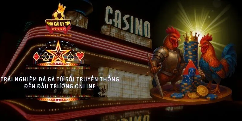 Trải nghiệm đá gà từ sới truyền thống đến đấu trường online